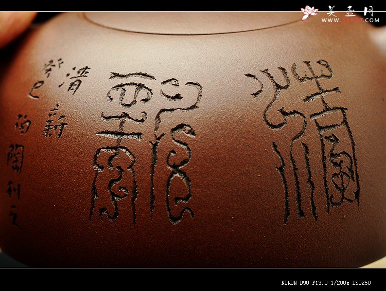 紫砂壶图片：简洁大方 圆润古朴 放生图 全手半瓜  - 美壶网