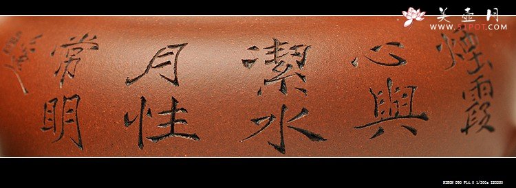 紫砂壶图片：婉约秀气 一捺底   仿古 座有兰言 - 美壶网