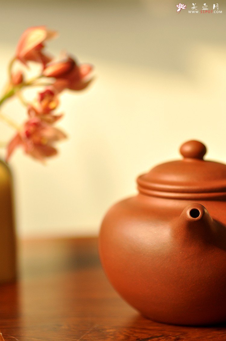 紫砂壶图片：极易泡养红皮龙 全手红莲 清秀婉约 进步明显 - 美壶网