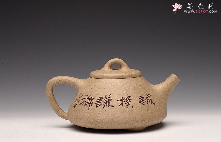 紫砂壶图片：全手文气五彩石瓢 - 美壶网