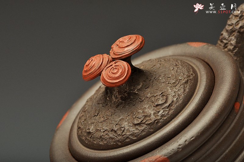 紫砂壶图片：花货实力派孙伟强作品  徐汉棠风格之福寿延年 灵芝壶 雄厚蕴古 - 美壶网