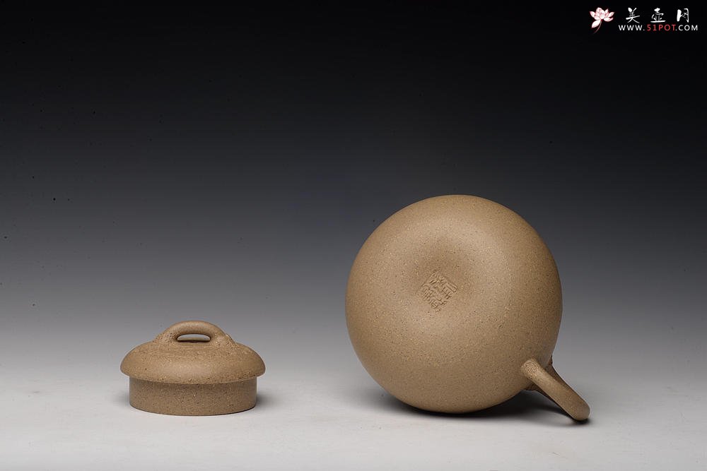 紫砂壶图片：创意小花 小巧可人 优质段泥 瓜韵 - 美壶网