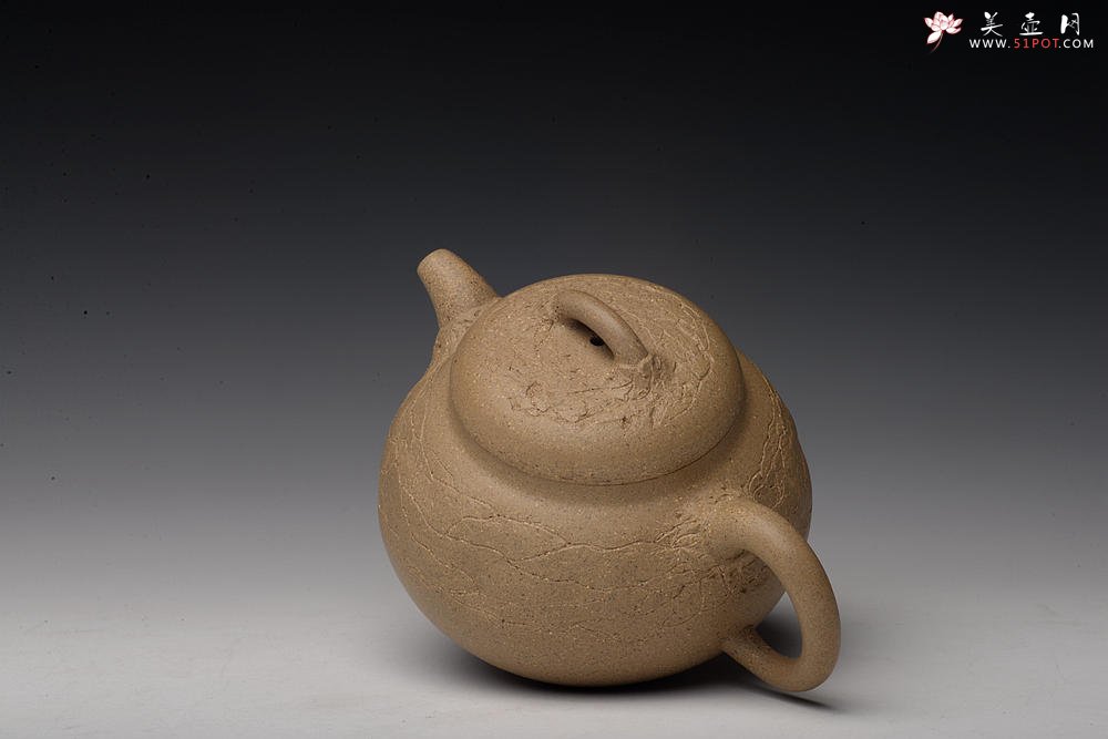 紫砂壶图片：创意小花 小巧可人 优质段泥 瓜韵 - 美壶网