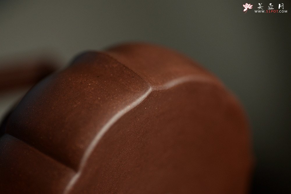 紫砂壶图片：筋囊实力派蔡旭伟力作  大美肌理 张力十足 全手星月提梁 - 美壶网