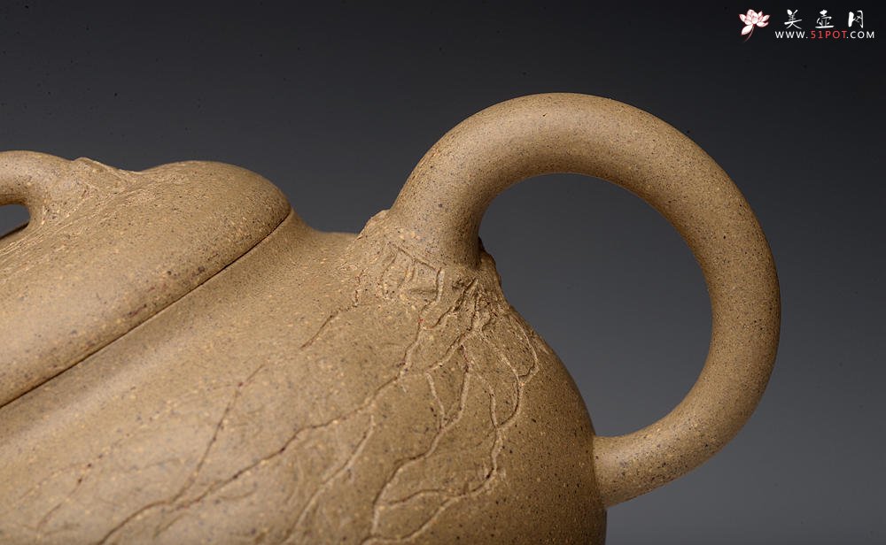 紫砂壶图片：创意小花 小巧可人 优质段泥 瓜韵 - 美壶网