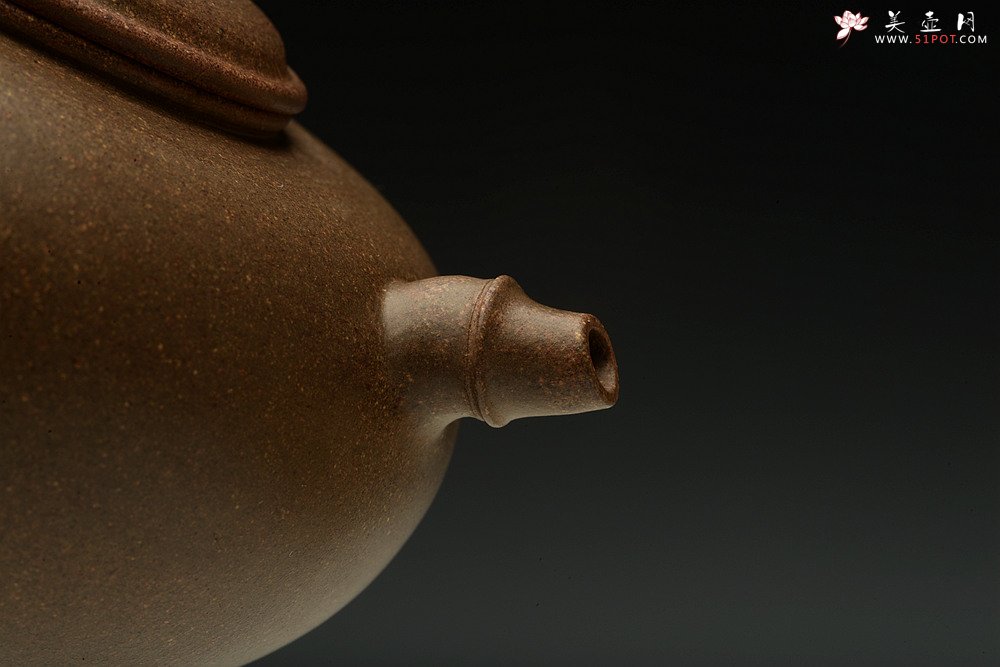 紫砂壶图片：实力派潘丹初 优质青段 国画入壶 秀雅文气 全手原创福竹o(∩_∩)o  - 美壶网