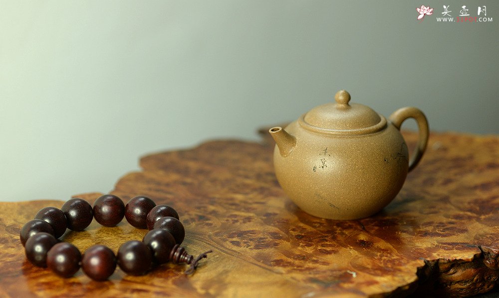 紫砂壶图片：陈进作品  圆润饱满 实用有趣 全手圆珠 - 美壶网