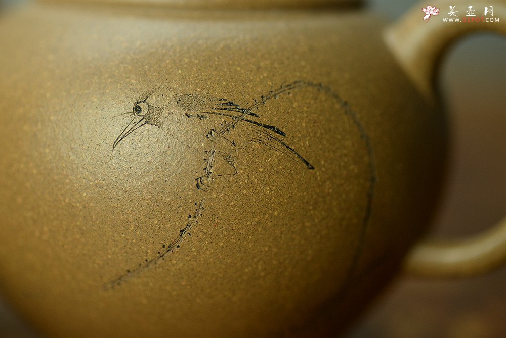 紫砂壶图片：陈进作品  圆润饱满 实用有趣 全手圆珠 - 美壶网