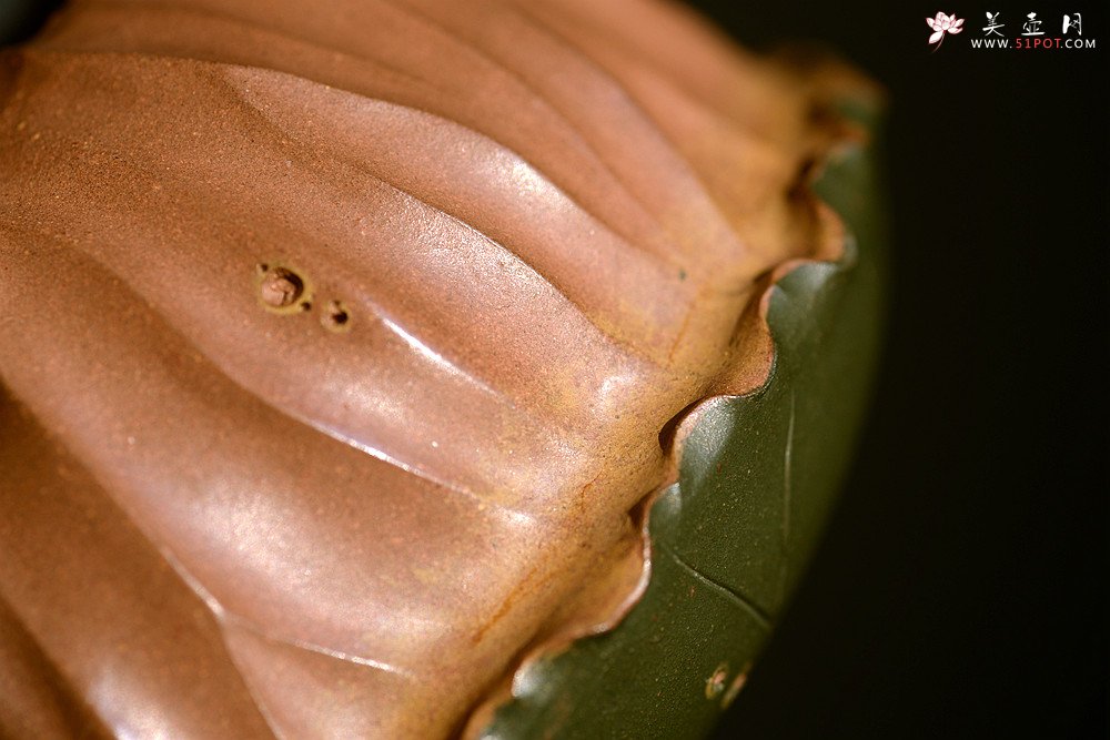 紫砂壶图片：文气十足 意境深远 秋日残荷 孙伟强张新亚合作 - 美壶网