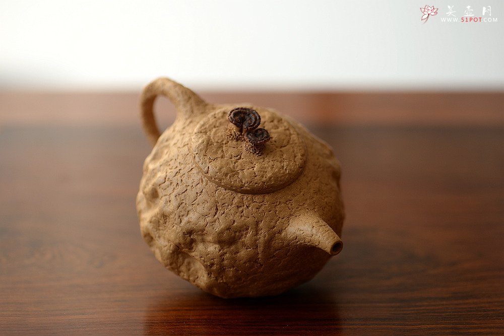 紫砂壶图片：全手薄胎灵芝瓜纽龚春 古朴之味 自然生动 - 美壶网