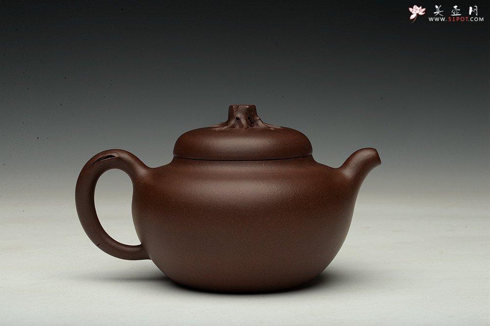 紫砂壶图片：高雪琴全手新作 敦厚悠然 简意花货~ 秋色 做工精致 - 美壶网