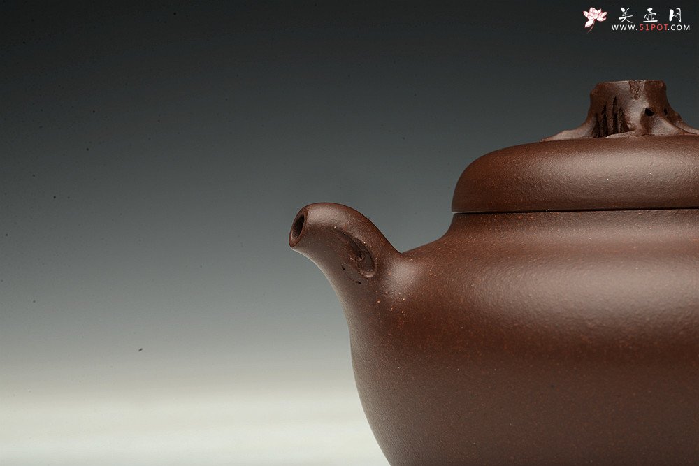 紫砂壶图片：高雪琴全手新作 敦厚悠然 简意花货~ 秋色 做工精致 - 美壶网