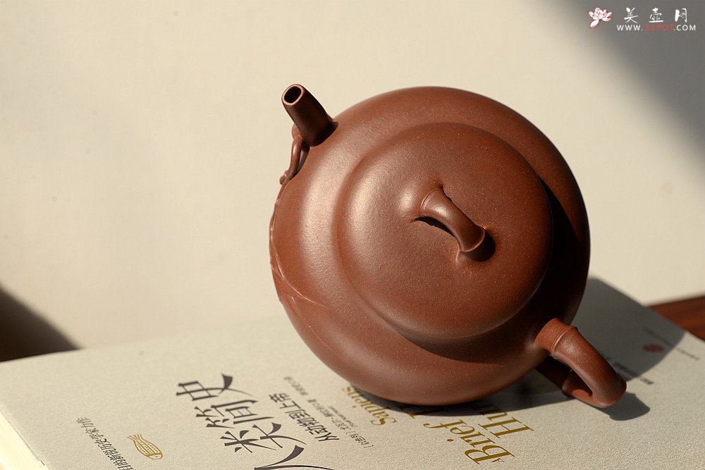 紫砂壶图片：潘丹初原创‘秀气’系列之春竹 纯净底槽青  婉约清秀 行简意足 - 美壶网