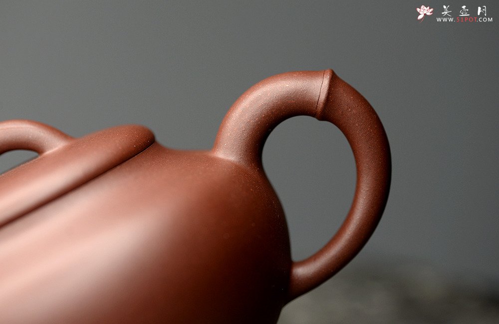 紫砂壶图片：曲峰乙末年经典器形 端庄秀气 春竹壶 耐品 - 美壶网