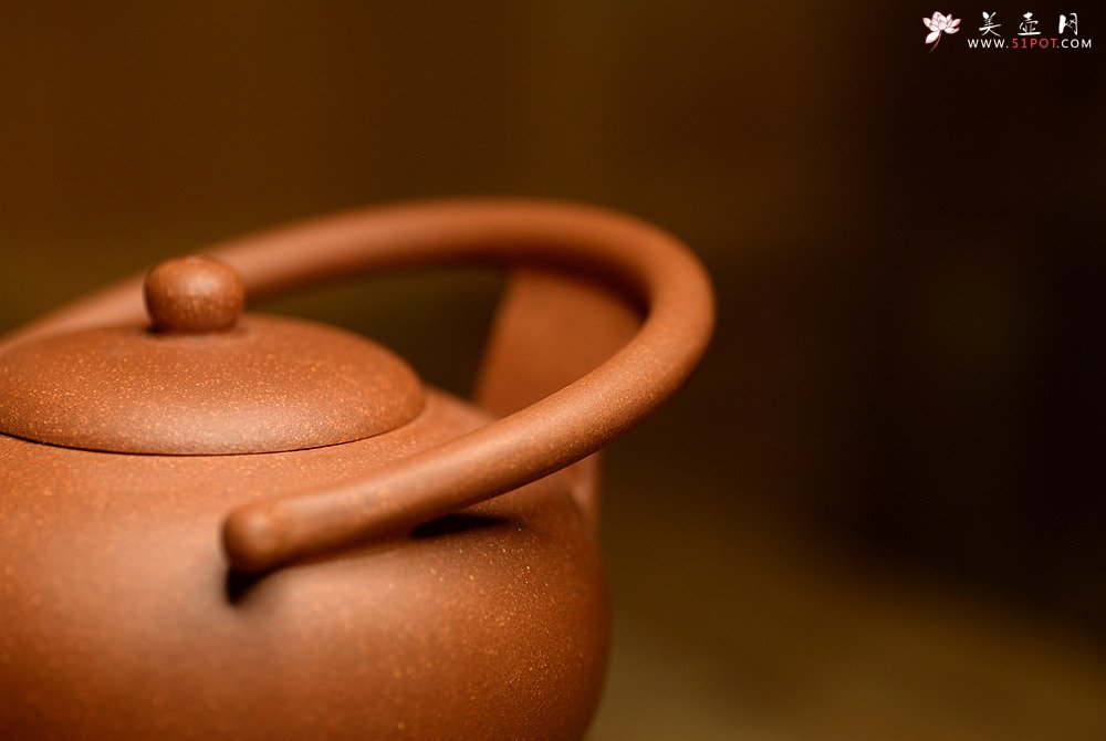 紫砂壶图片：潘小东新品 全手明韵 造型新颖 原矿老段泥 - 美壶网