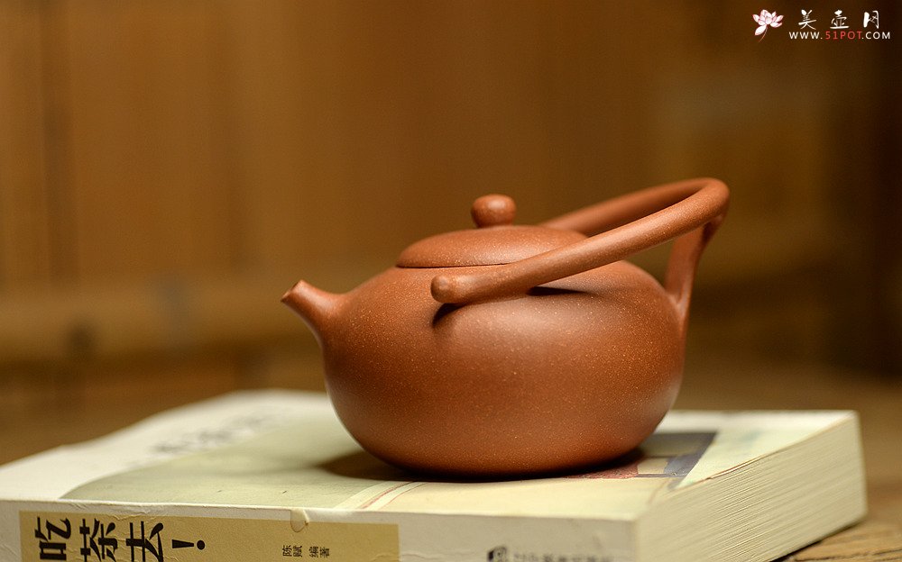 紫砂壶图片：潘小东新品 全手明韵 造型新颖 原矿老段泥 - 美壶网