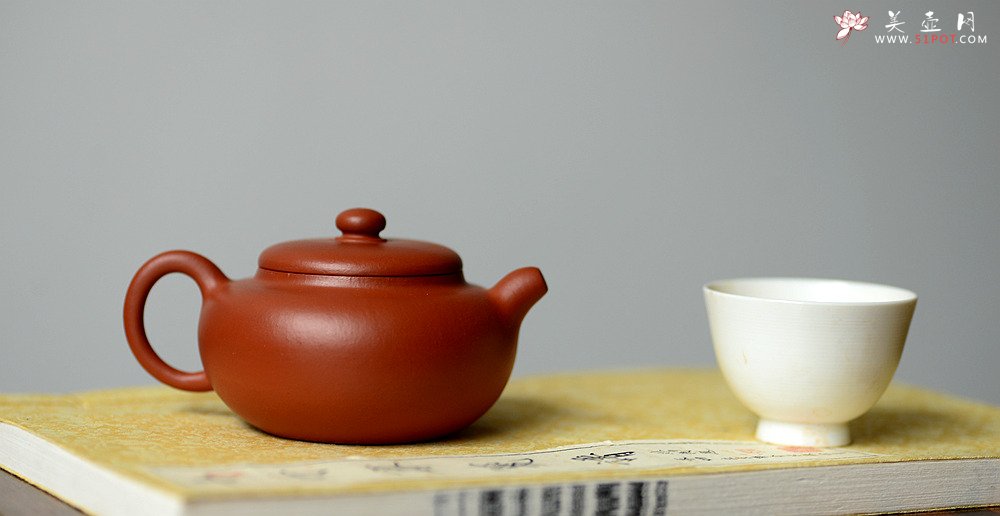 紫砂壶图片：徐亚春全手作品 优质朱泥 珠圆玉润 全手柿圆 - 美壶网