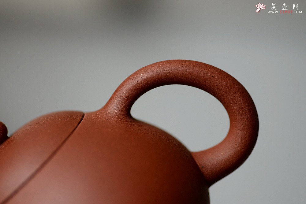 紫砂壶图片：美壶特惠 圆润饱满 实用小品 文旦 - 美壶网