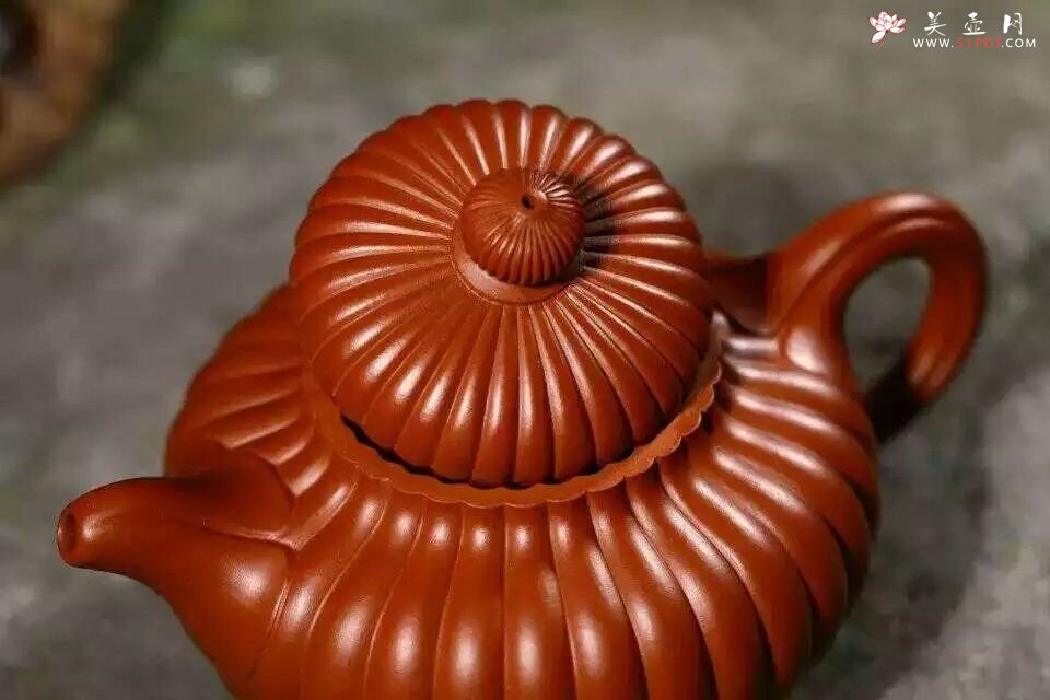 紫砂壶图片：筋纹掇只 - 美壶网