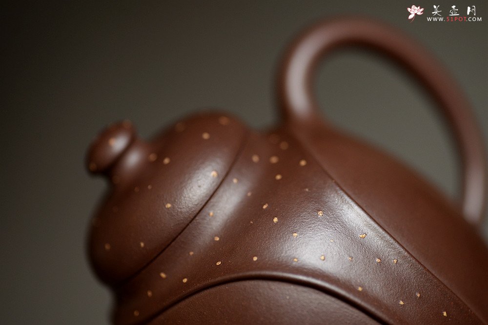 紫砂壶图片：徐正涛经典代表作 全手高龙带 高俊神逸~ 精工佳品 - 美壶网