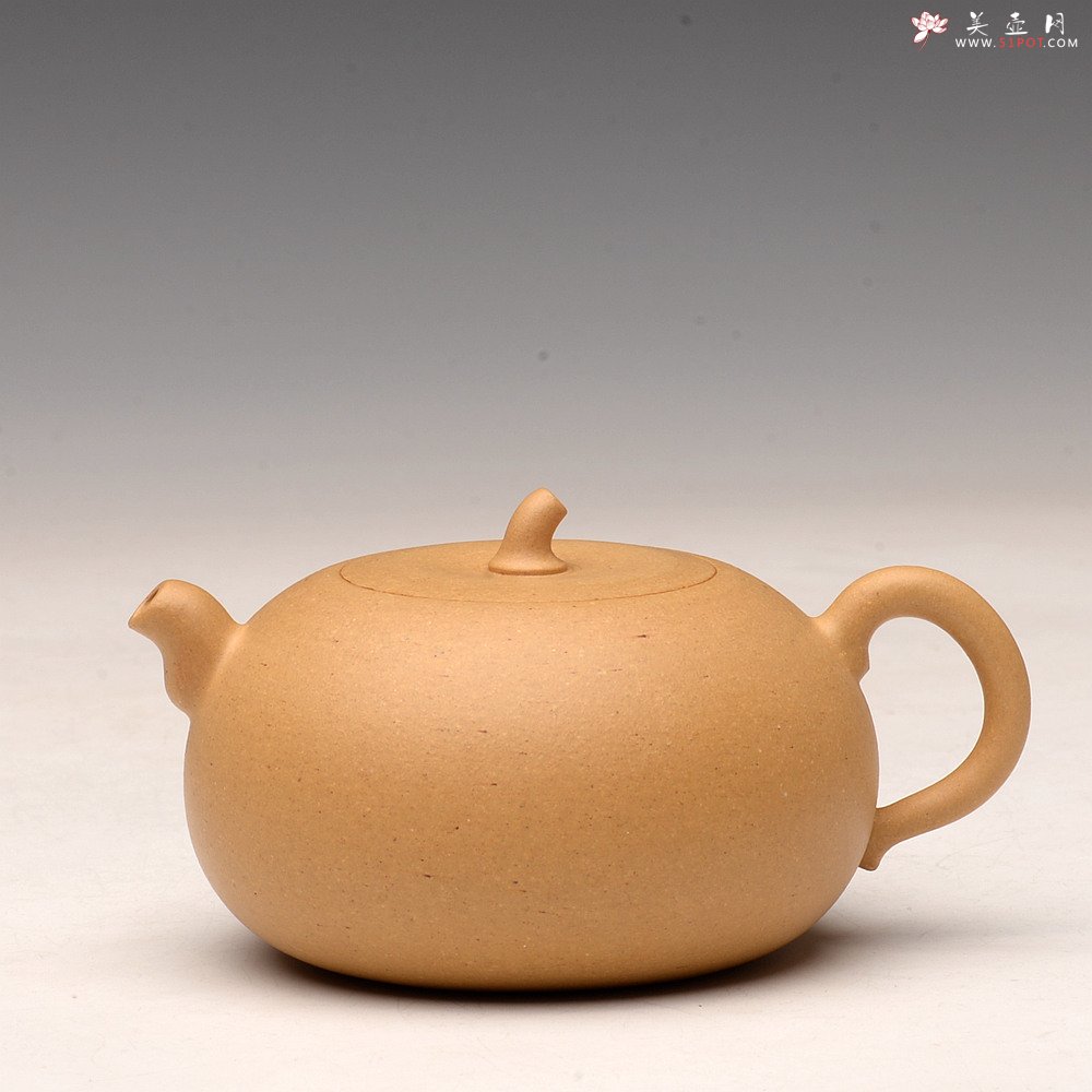 紫砂壶图片：于洪霞全手新品 娇小可人 纯正本山段泥  秋之小瓜  - 美壶网