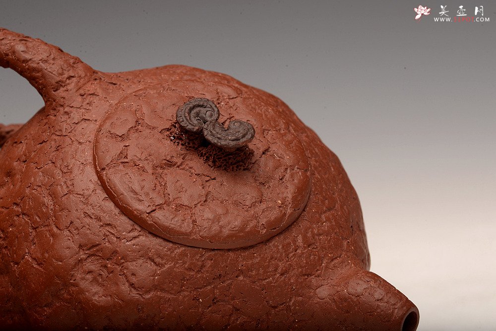 紫砂壶图片：肌理自然生动 全手灵芝龚春 古朴之味 - 美壶网