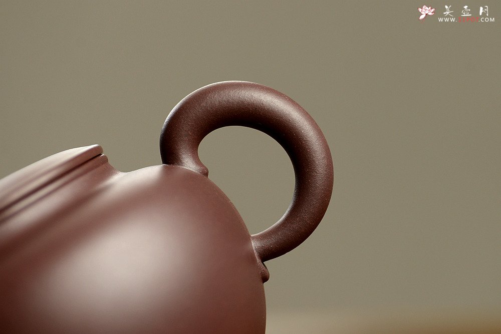 紫砂壶图片：陈进全手新品  全手薄胎无欲 造型新颖 有趣 - 美壶网