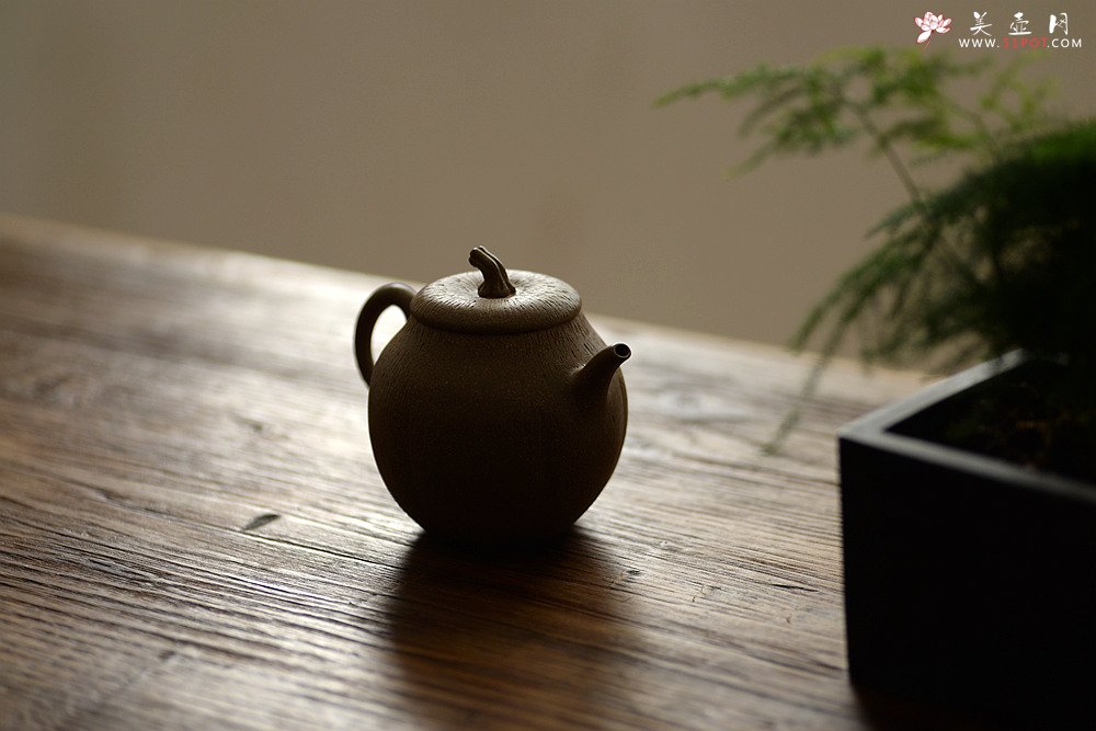 紫砂壶图片：潘小东全手新作 学院风 亭亭玉立 文气可人 玉瓜 - 美壶网