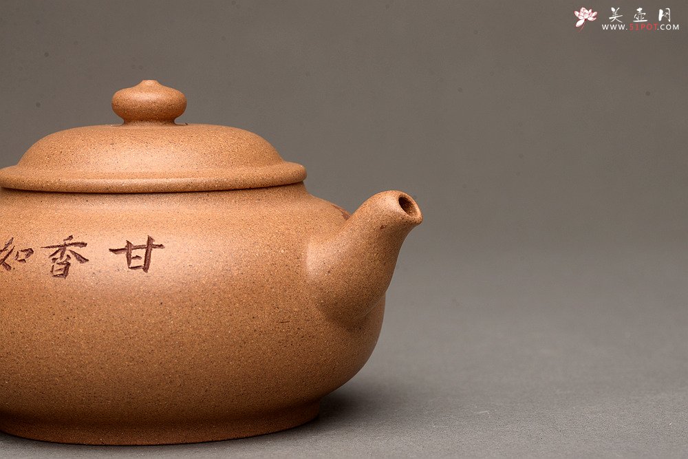 紫砂壶图片：颇有玩味 渐入佳境  全手乳丁 老段泥 - 美壶网