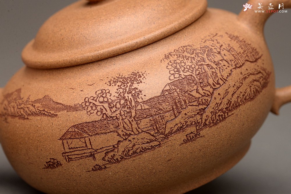 紫砂壶图片：颇有玩味 渐入佳境  全手乳丁 老段泥 - 美壶网