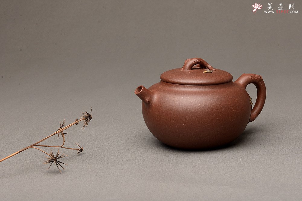 紫砂壶图片：饱满圆润 简意花货 全手脱颖 万阗阗夫人作品 - 美壶网