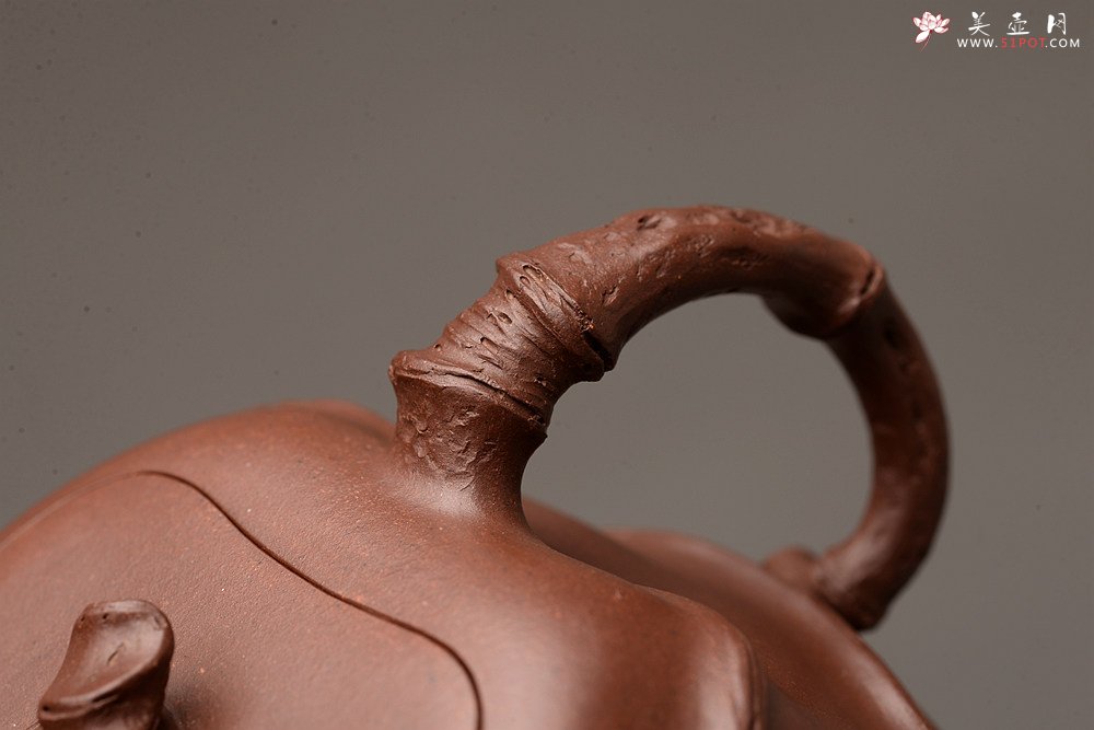 紫砂壶图片：花货新风尚 道法自然 妙趣横生 潘丹初乙未年全手之作 溪竹 - 美壶网