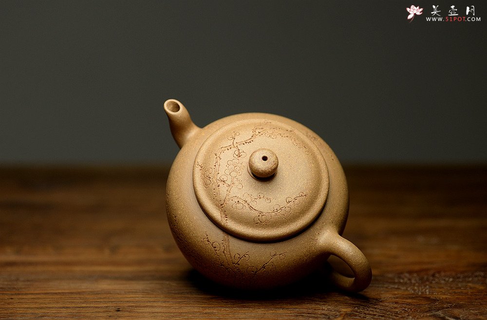 紫砂壶图片：国助工唐文新作 五彩段泥隐乐壶  端庄秀气 助工袁德波装饰 - 美壶网