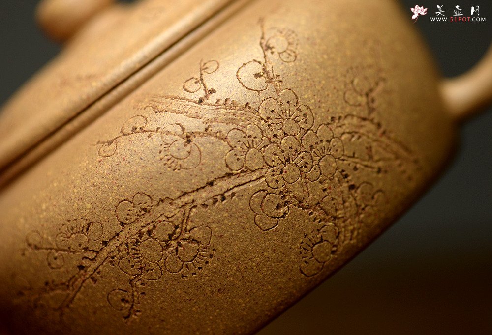 紫砂壶图片：国助工唐文新作 五彩段泥隐乐壶  端庄秀气 助工袁德波装饰 - 美壶网