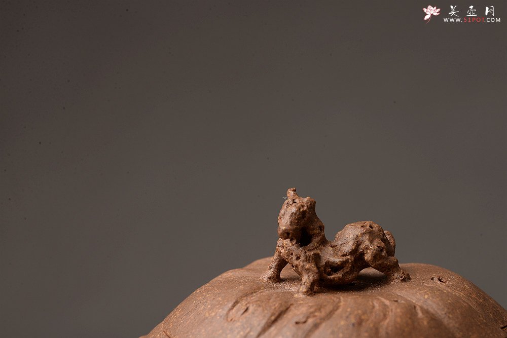 紫砂壶图片：林月长乙未冬全手原创精品 肌理丰富 紫砂新风 学院派  麒麟山音 - 美壶网