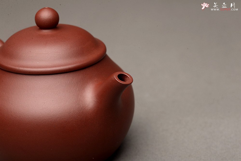 紫砂壶图片：美壶特惠 经典实用 潘壶 优质枣红泥 极易泡养 - 美壶网