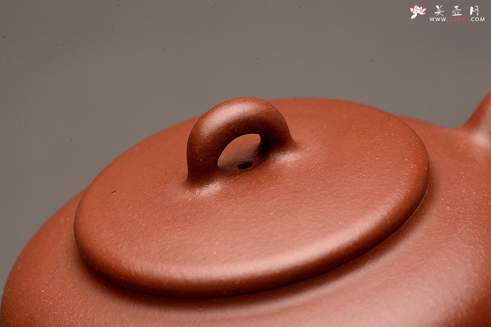 紫砂壶图片：詹黎明全手新品 高路精心装饰 文气雅致  做工精致 全手相知 - 美壶网