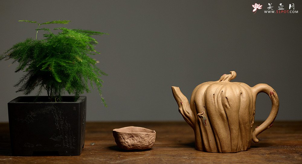 紫砂壶图片：刘秀全手经典新品 自然生动 古朴之味~~全手树魂 - 美壶网