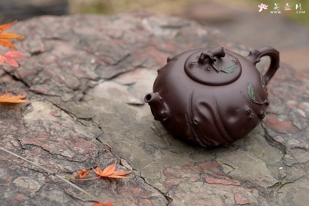 紫砂壶图片：灵秀俊美 自然清趣 玉露 典雅大气 原创作品孙伟强张新亚合作 - 美壶网