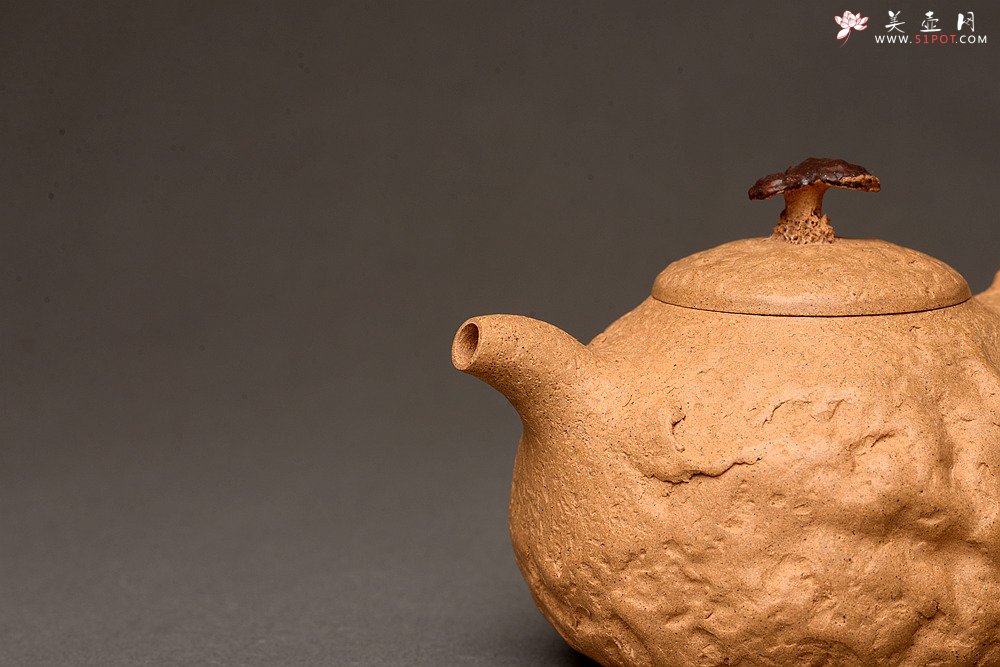 紫砂壶图片：谢多莲全手龚春套组~ 非常好玩 古朴之味 自然生动 - 美壶网