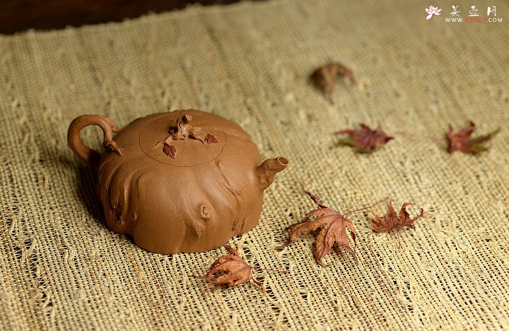 紫砂壶图片：学院派风格~ 郑志贤全手作品 知秋 古朴之味 - 美壶网