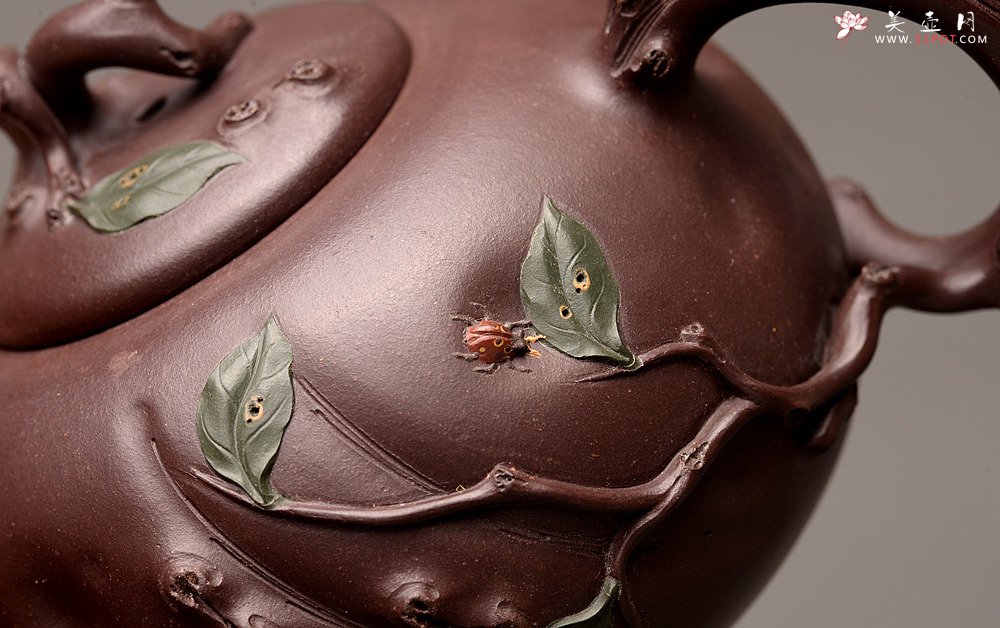 紫砂壶图片：灵秀俊美 自然清趣 玉露 典雅大气 原创作品孙伟强张新亚合作 - 美壶网