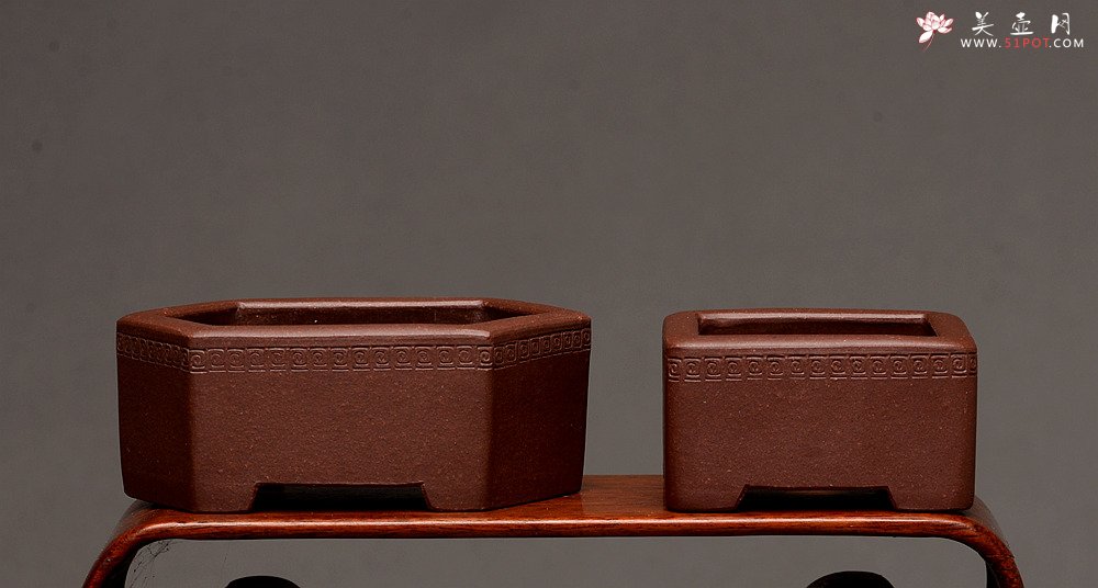 紫砂壶图片：张秋平全手微型花盆 美壶网回馈之作 气度更加漂亮 - 美壶网