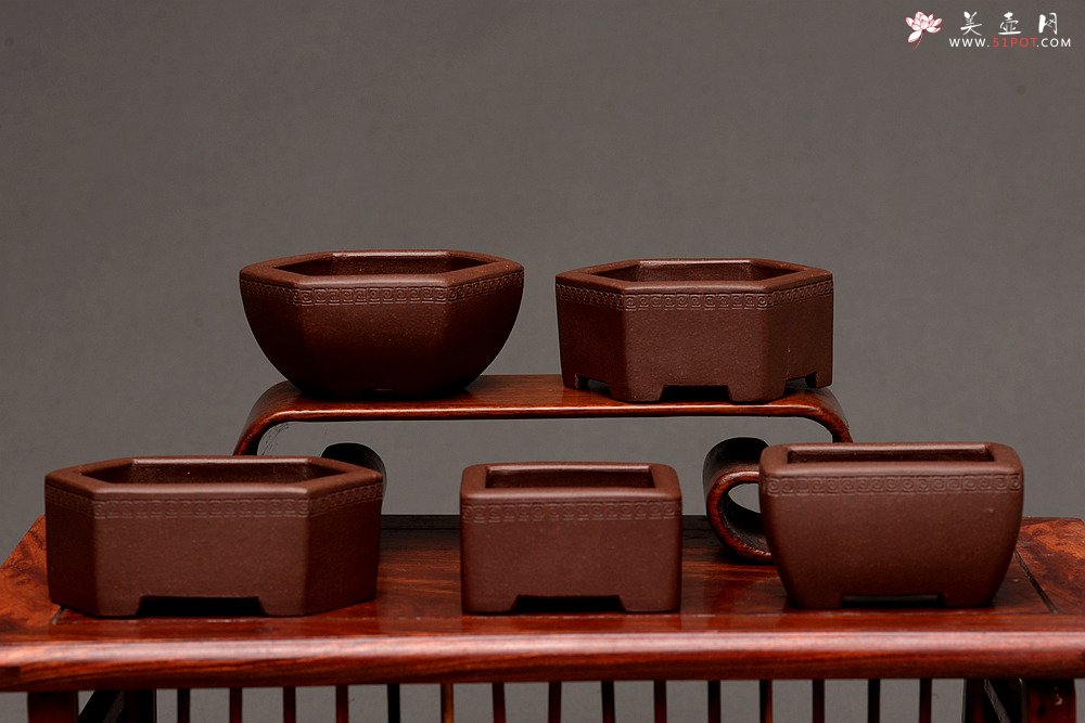 紫砂壶图片：张秋平全手微型花盆 美壶网回馈之作 气度更加漂亮 - 美壶网