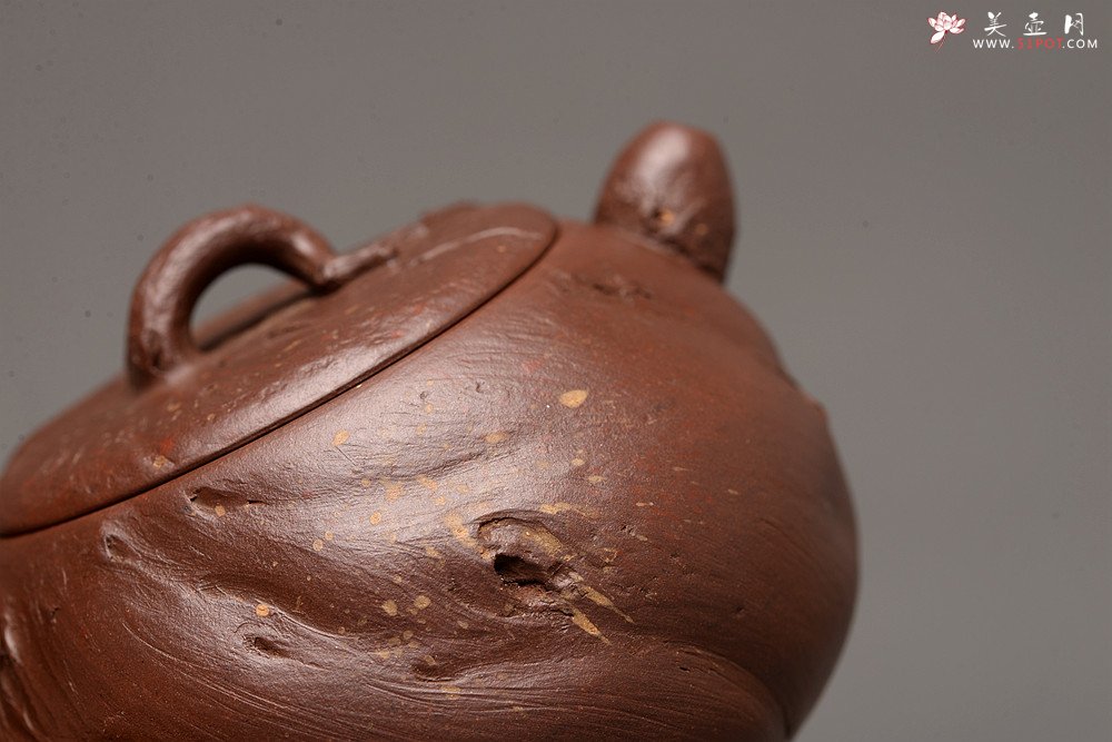 紫砂壶图片：潘丹初乙未冬全手作品 砂滴点点 随型桩 俏人小嘴 秋思 出水暴爽 - 美壶网