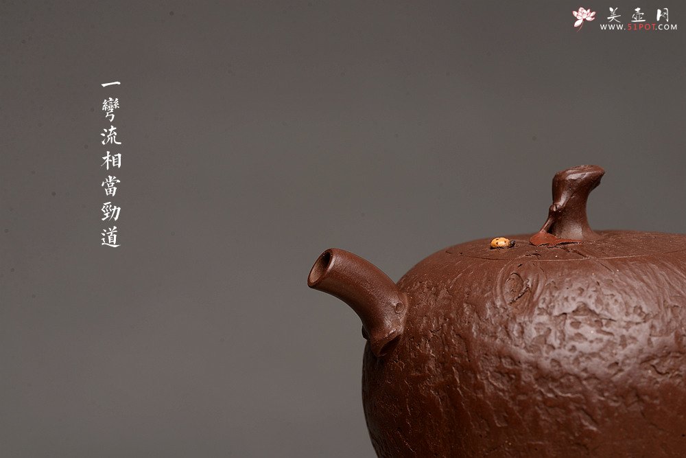 紫砂壶图片：潘丹初乙未冬末全手新作 酣畅淋漓的花货手法 秀雅得趣 秋色 - 美壶网