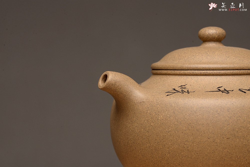 紫砂壶图片：灵巧喜人 悟禅 宝鼎 - 美壶网