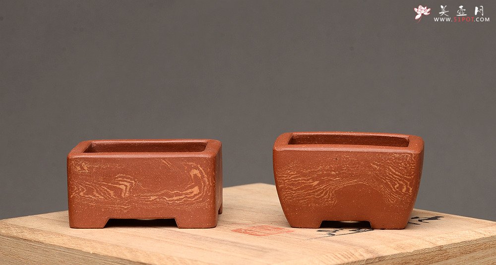 紫砂壶图片：张秋平全手微型胶泥小花盆 美壶网回馈之作 更加漂亮 - 美壶网