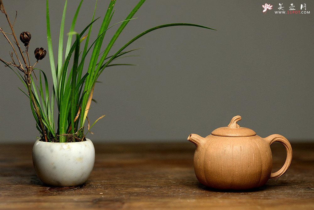 紫砂壶图片：姜建荣全手作品 古朴之味 全手硕果 - 美壶网