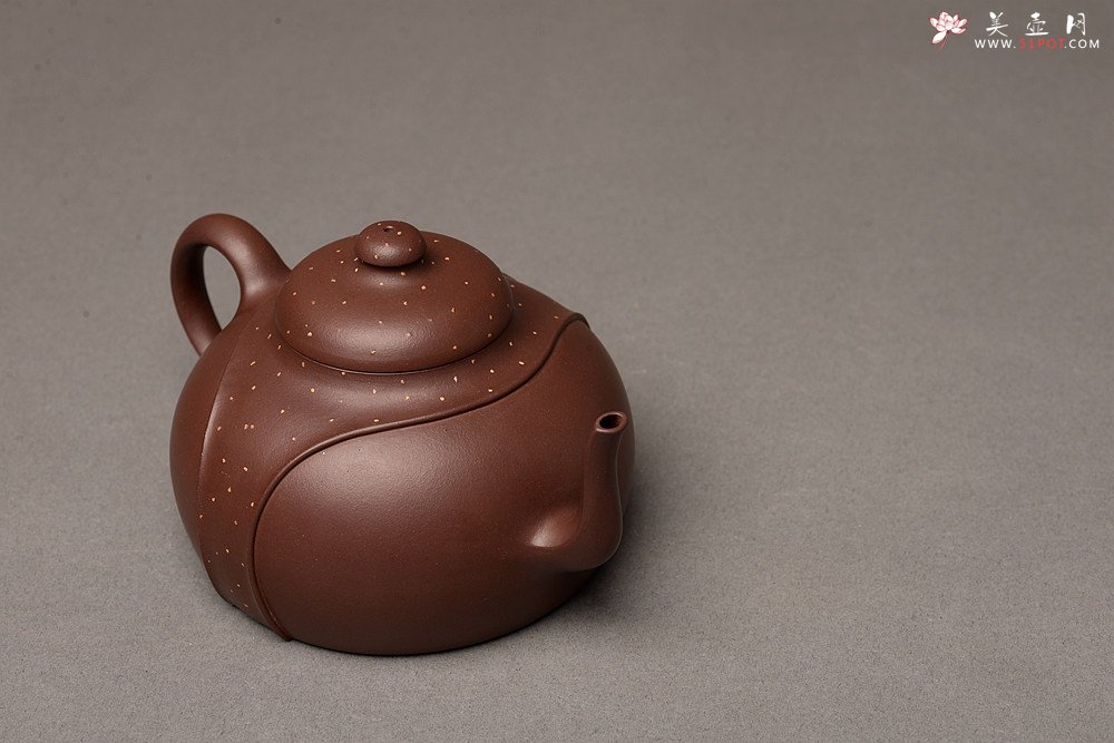紫砂壶图片：徐正涛经典代表作 乙未冬全手作品  演绎经典传统 精工 龙带对壶 - 美壶网